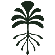 Logo Rio Adentro